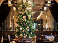 【Xmas｜ランチ】クリスマスランチコース 