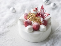 【ウェブ割】クリスマスショートケーキ