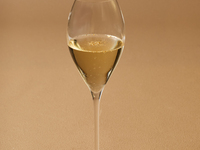 【乾杯酒付き】ノエル・プレステージュ（平日）￥27,000