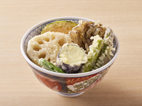 Vegetable Tendon