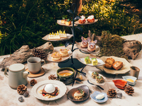 11/13-12/27【アフタヌーンティー】A Journey Through the Wonders of Moment Afternoon Tea