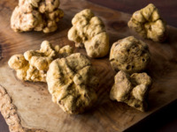 Yakiniku Yazawa White Truffle Course
