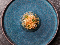 ◇TOKI◇6Course Lunch Menu-Upgrade to Wagyu