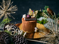 부시 드 노엘