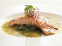 MENU Zelkova　ランチメニュー ~ゼルコバメイン魚料理~