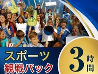 メインが選べる軽食3品付き！スポーツ観戦パック3時間 （利用開始17時以降）