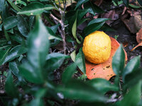 Winter Short Course ~Silence in Deep Winter~