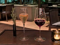 Set of 2 glasses of wine (120ml each)