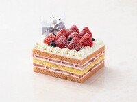Christmas  Shortcake 　クリスマス ショートケーキ