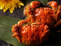 秋の味覚「上海蟹」