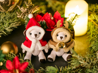 New Year’s Eve/Day Sweets & Lunch Buffet <Adults> Hilton Yokohama with Bear