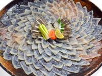 Reservations-only! Fugu sashimi set