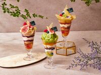 《秋の選べる締めフルーツパフェ》本日のパスタや真鯛のカルパッチョなど