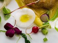 Dinner Course