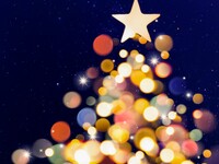 [Option] Christmas cake (Limited to December 19-25)
