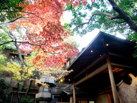 ≪Nov 16 – Jan 31≫ [Includes 2-hour open bar] Premium New Year’s Luncheon Plan