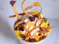 Merachi parfait